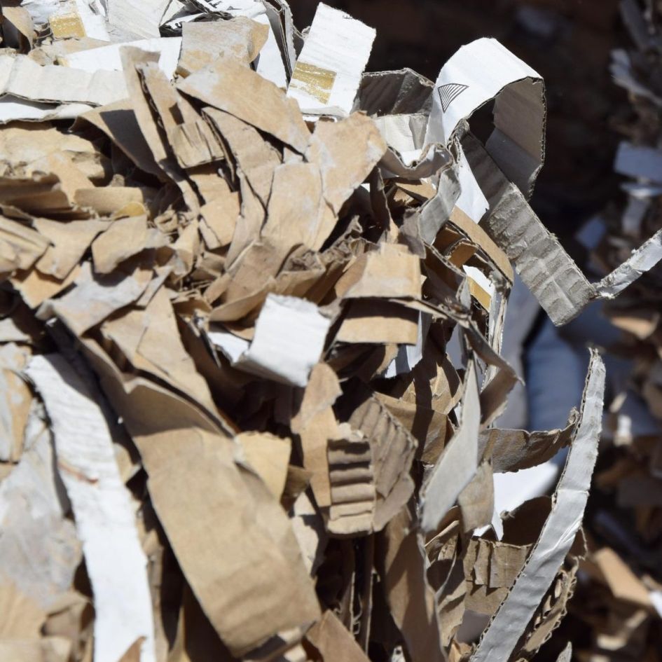 Stavební materiály budoucnosti. Recyklace papíru na papír nedává smysl. Honext to zkouší jinak