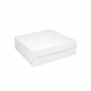 Dortová krabice 25 × 25 × 10 cm, 50 ks